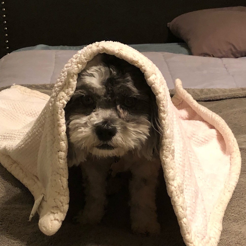 Meet your Posher, Emma